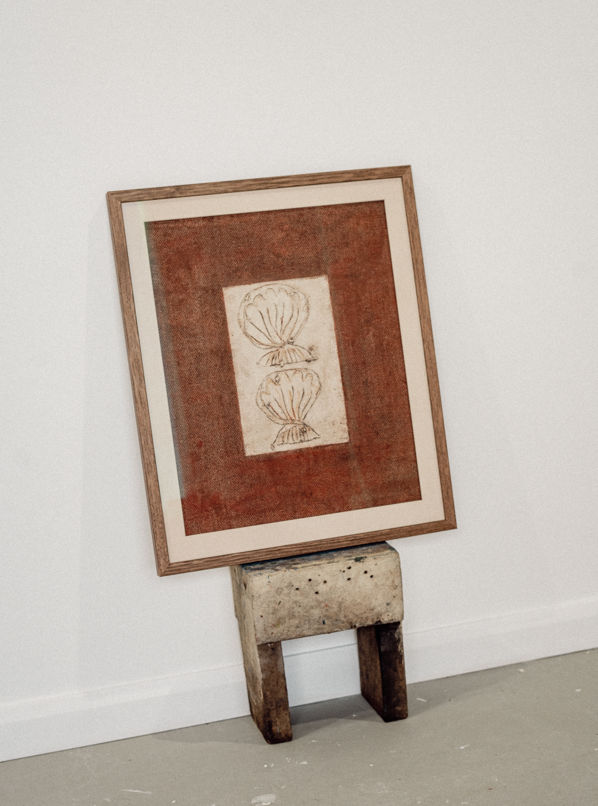 Shells In Burnt Sienna