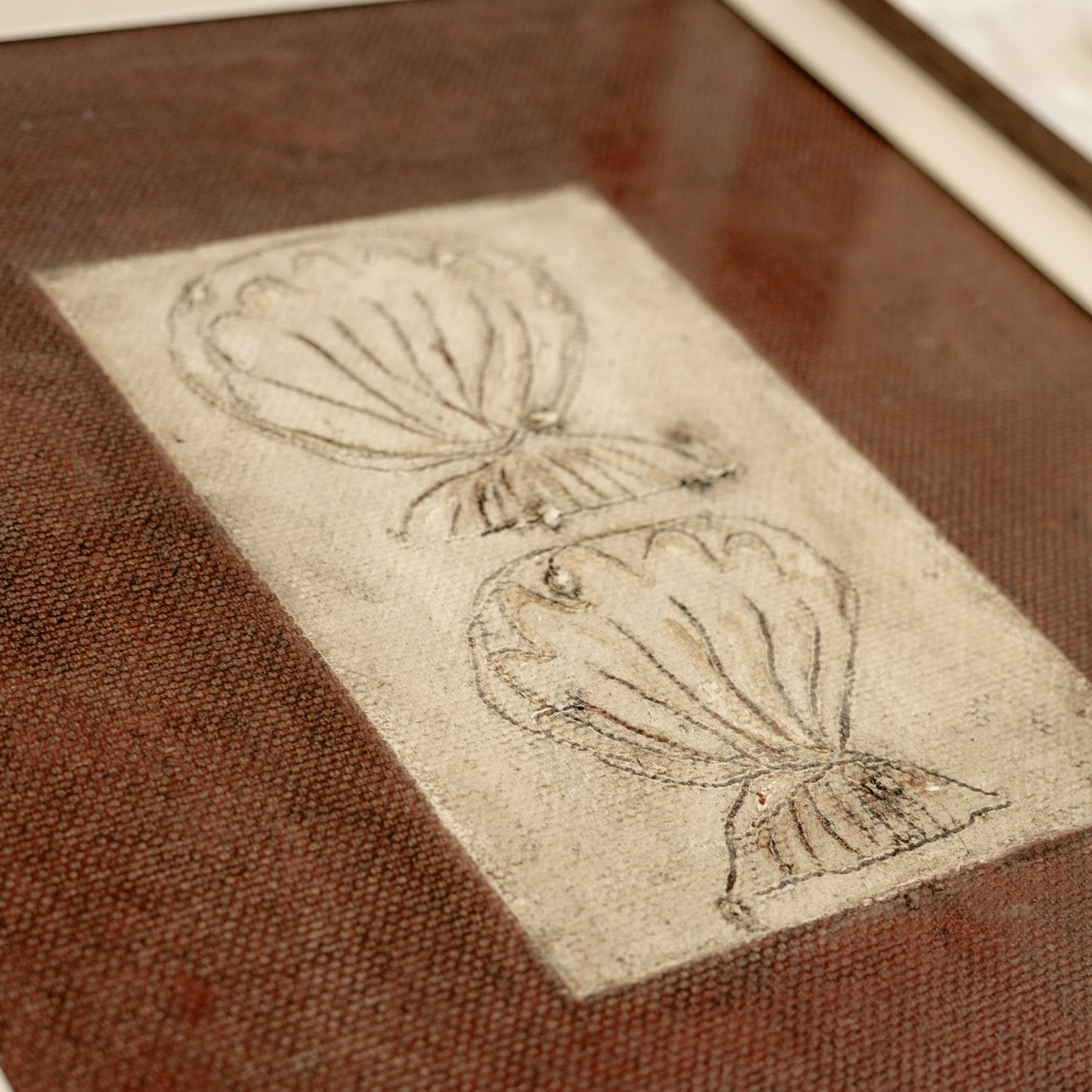 Shells In Burnt Sienna