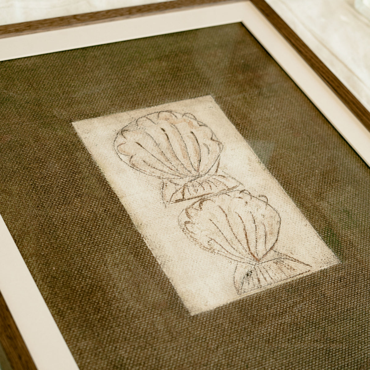 Shells In Olive
